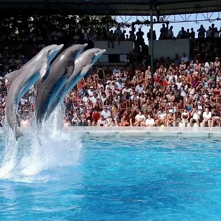 Albufeira - Apartment - Sleeps 4 - Pool - Seaside Appartamento Albufeira