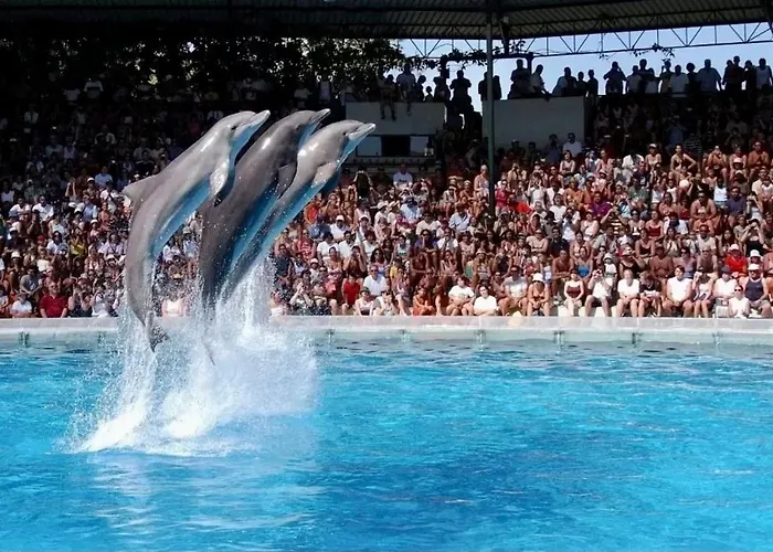 - - Sleeps 4 - Pool - Seaside Apartamento Albufeira